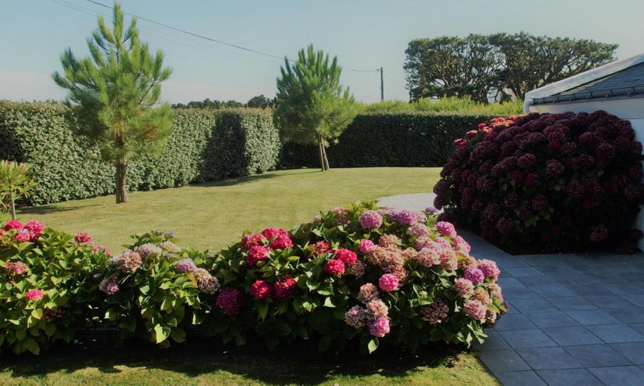 Maison Accueillante A Bangor Avec Jardin Clos Et Cheminee Exteriér fotografie